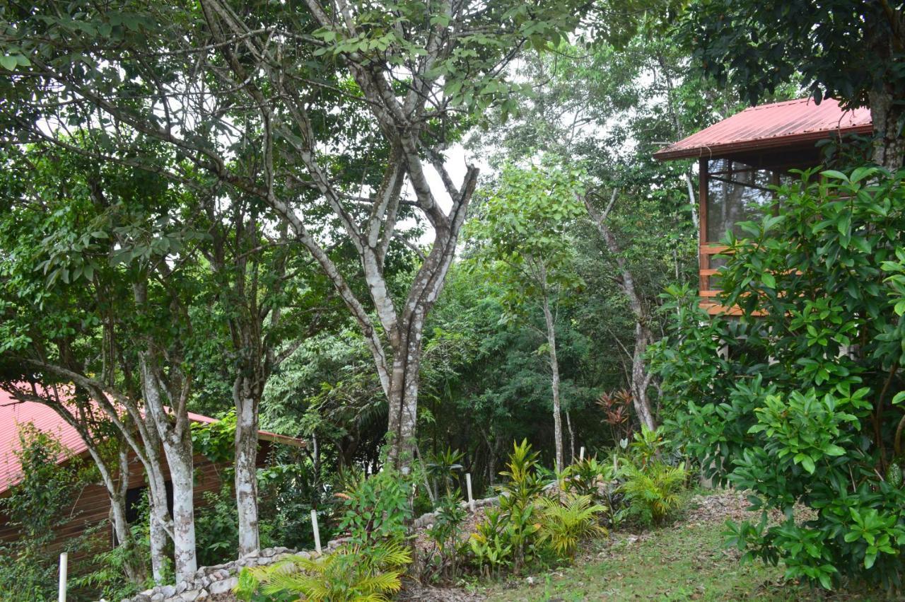 Santa Cruz Cabins Santa Elena Exteriér fotografie